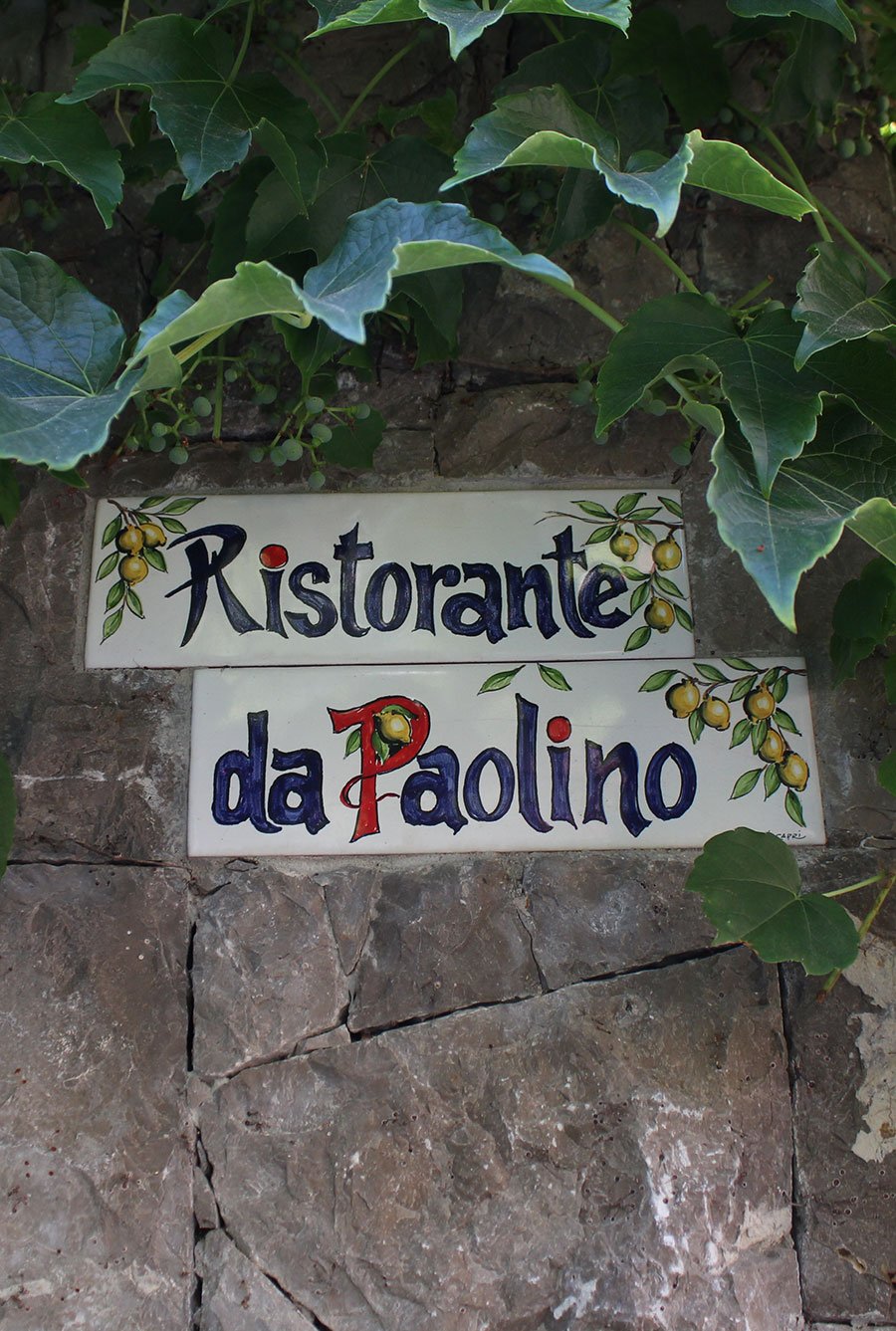 Wo Stars und Sternchen ihre Oase haben