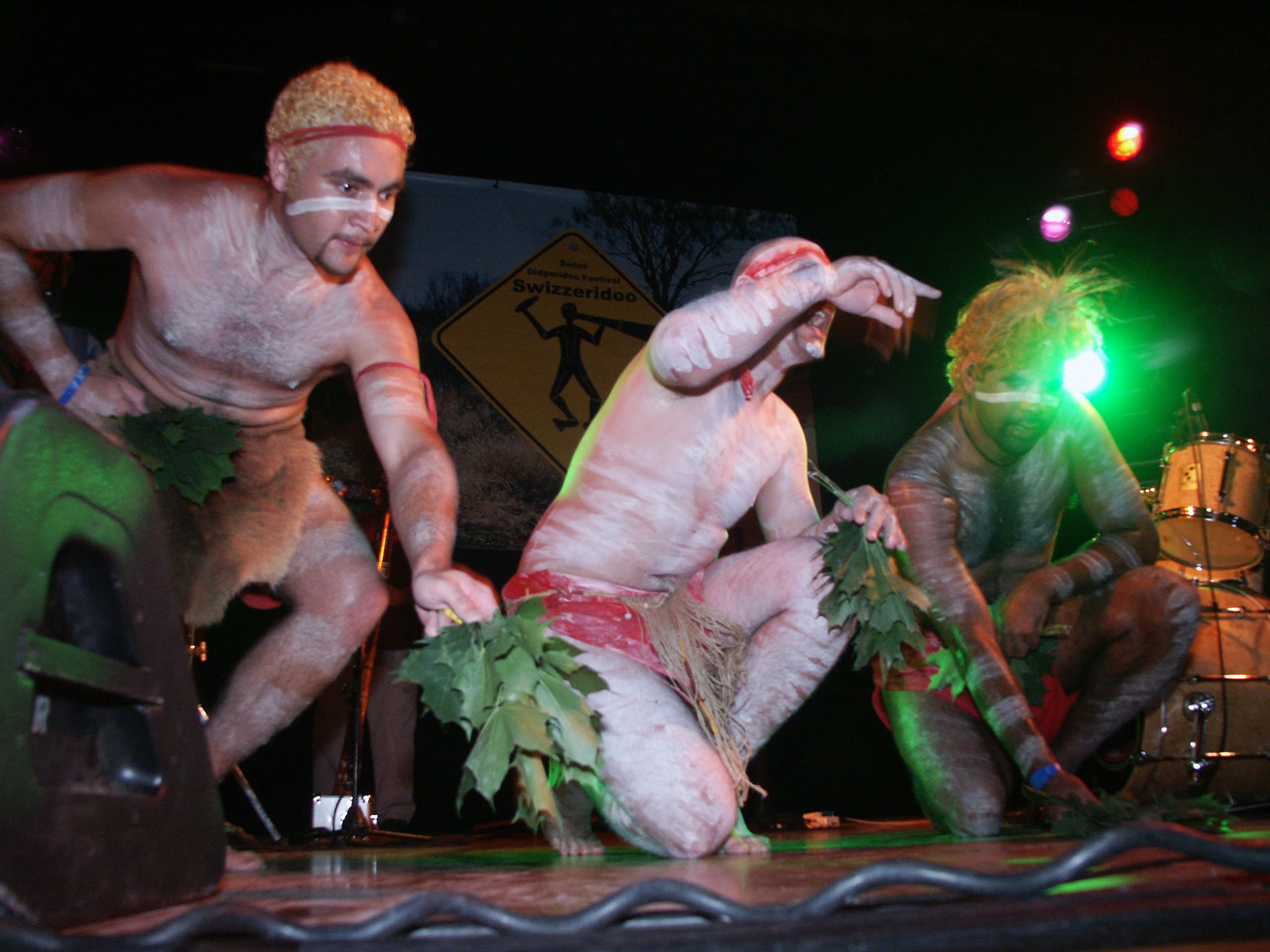 Das Didgeridoo – Interkulturelles Dasein eines Holzrohres