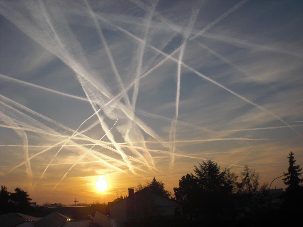 Evidenzbasierte Politik