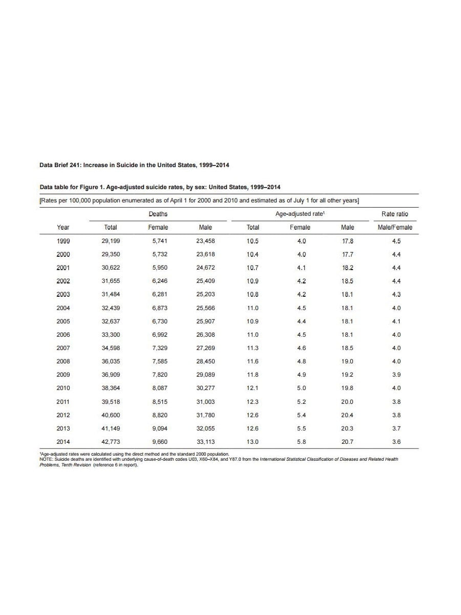 Die «besten» Terroristen?