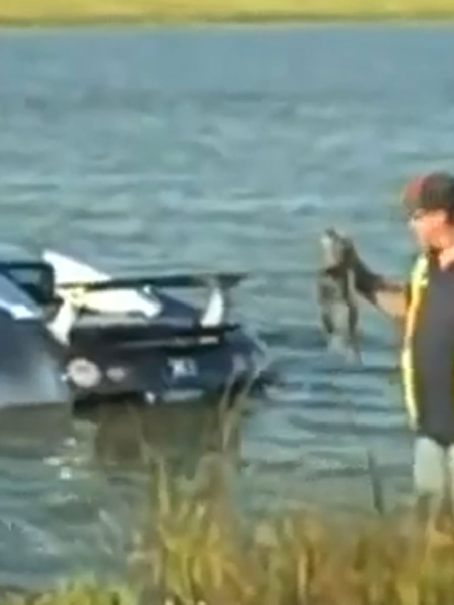 Zu blöd, die eige­ne Blödheit zu erken­nen