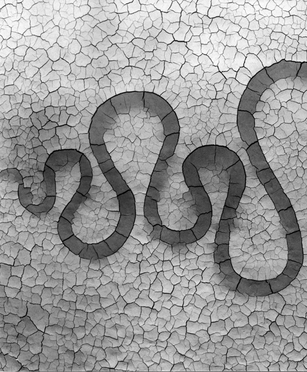 RIVERS and TIDES – Andy Goldsworthy working with time