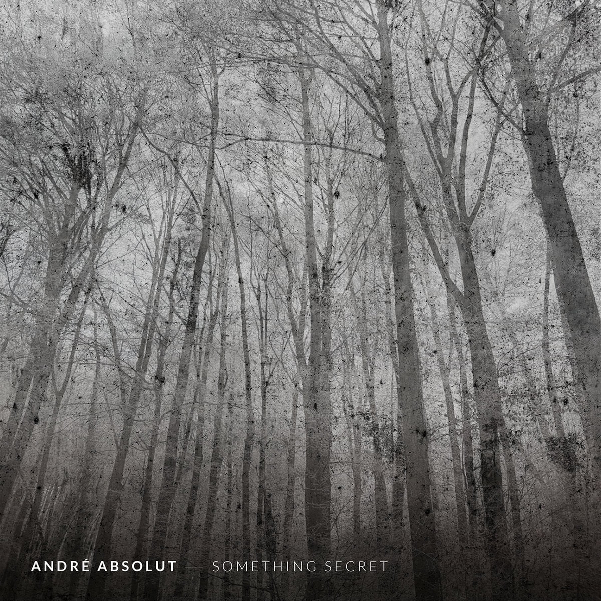 Bescheidenheit hat einen Namen: André Absolut