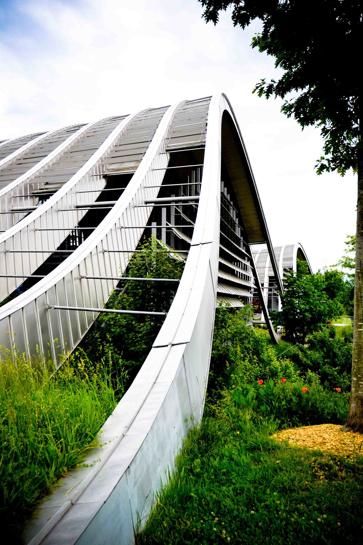 Unterschiedliche Wege zu Klee