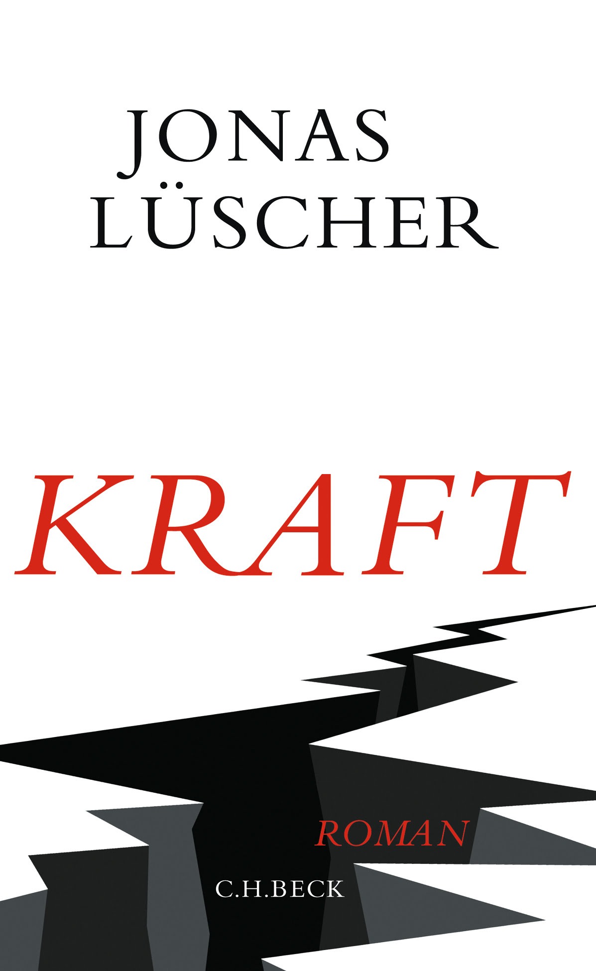 Lüschers Roman «Kraft»: Ohne Vorstellung, dafür mit viel Willen