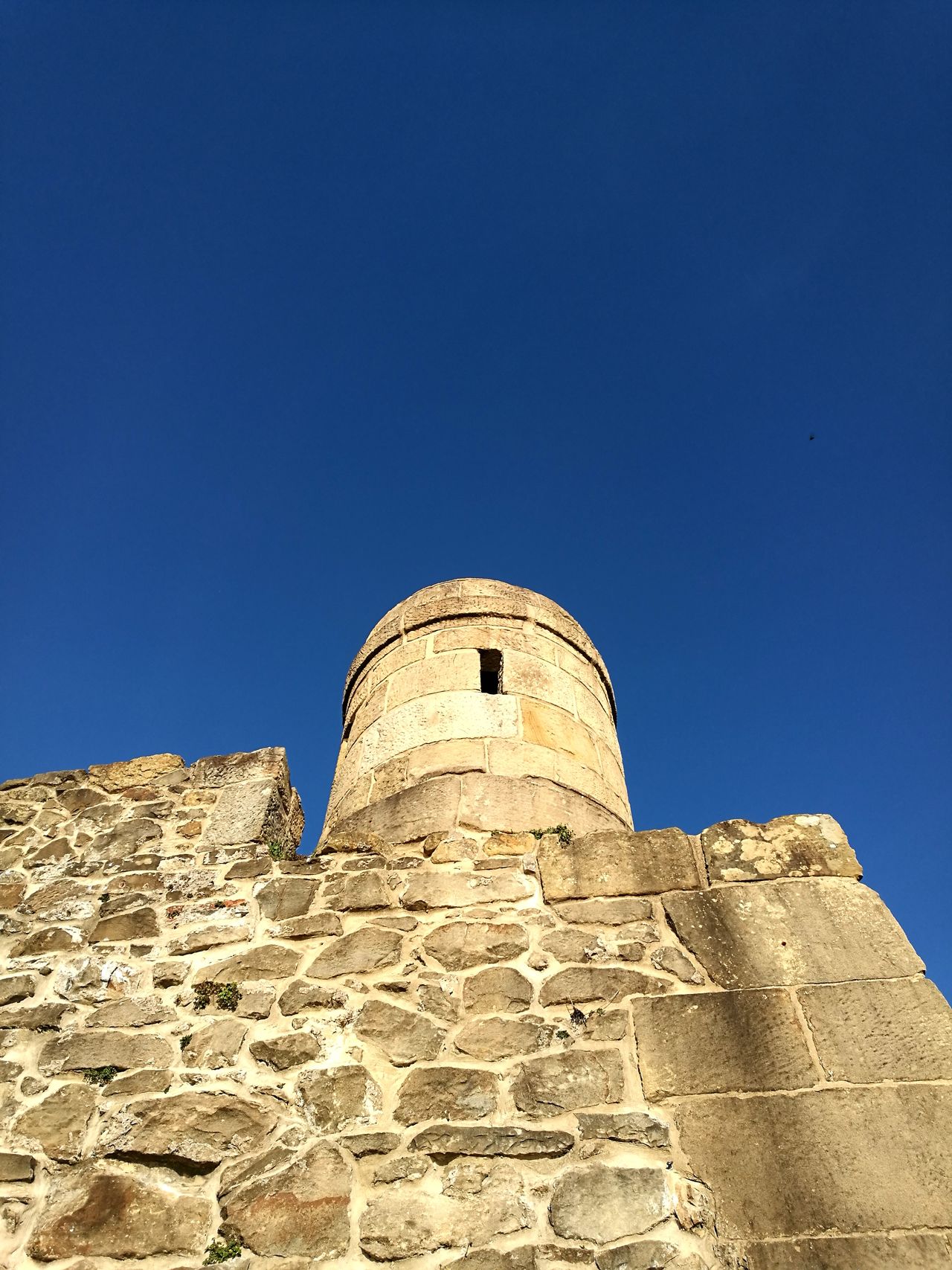 Gegen das Verstummen einer Kultur