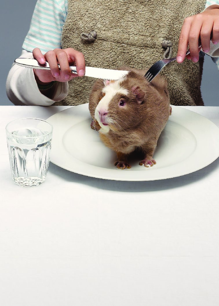 Mächtig ist, wer isst