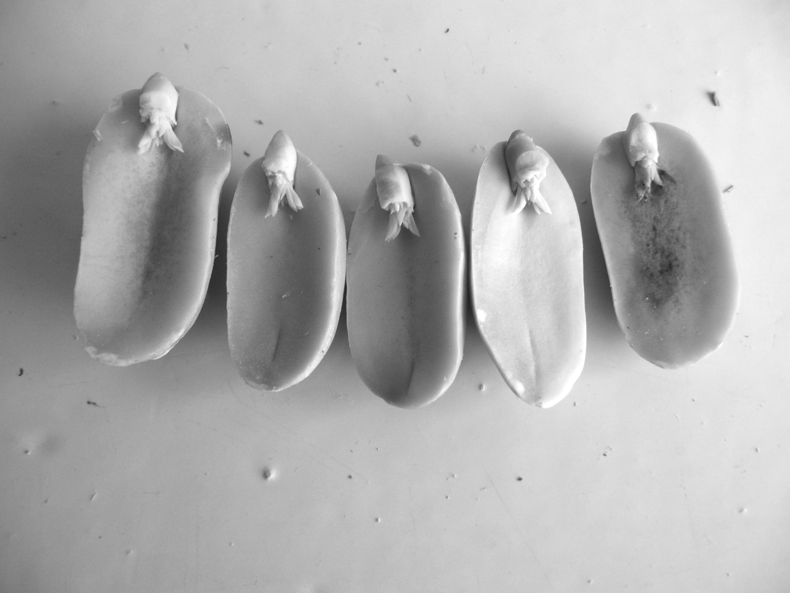 Samichlaus in der Badewanne