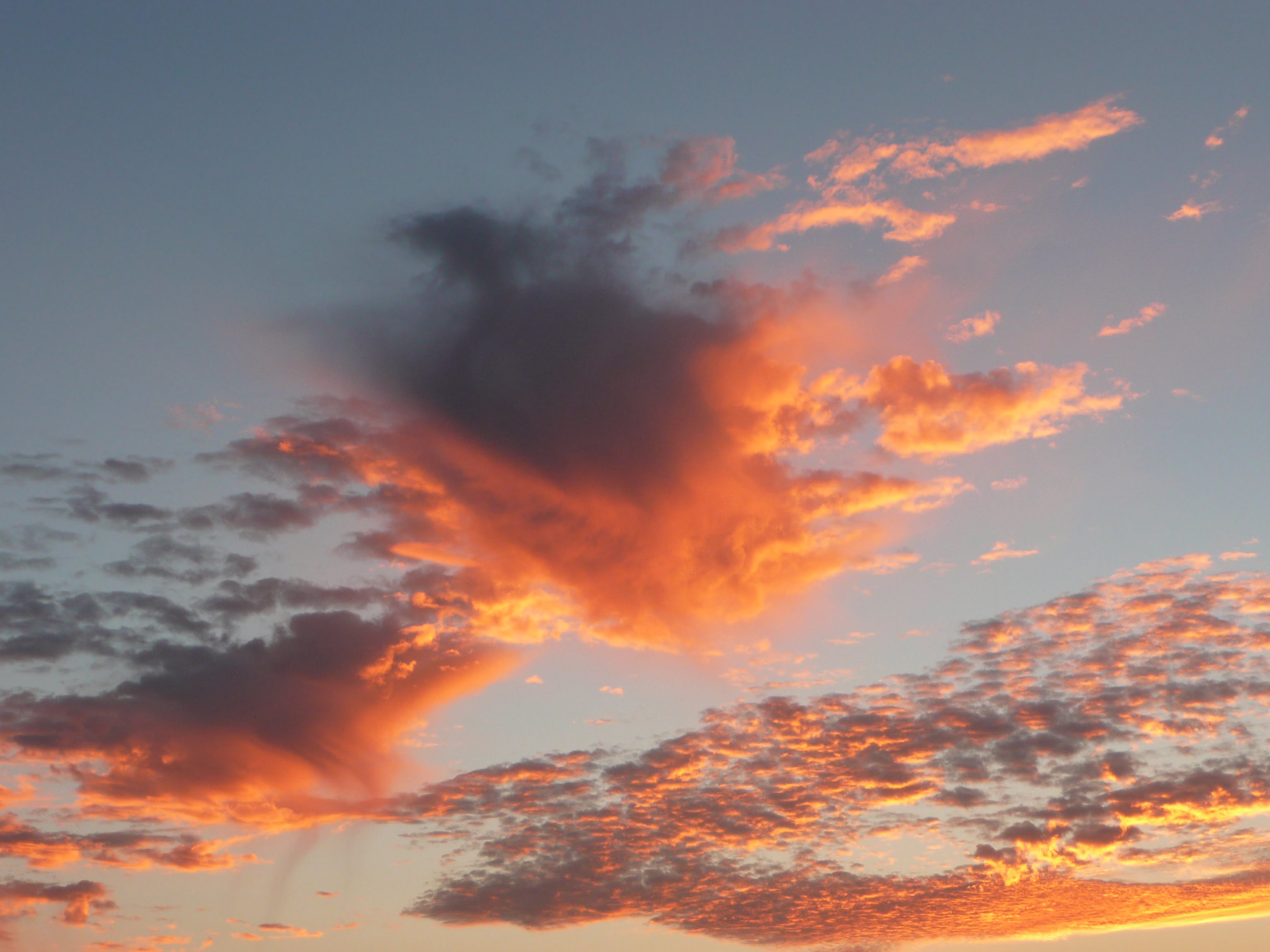 …mit Aussicht auf Fleischbällchen