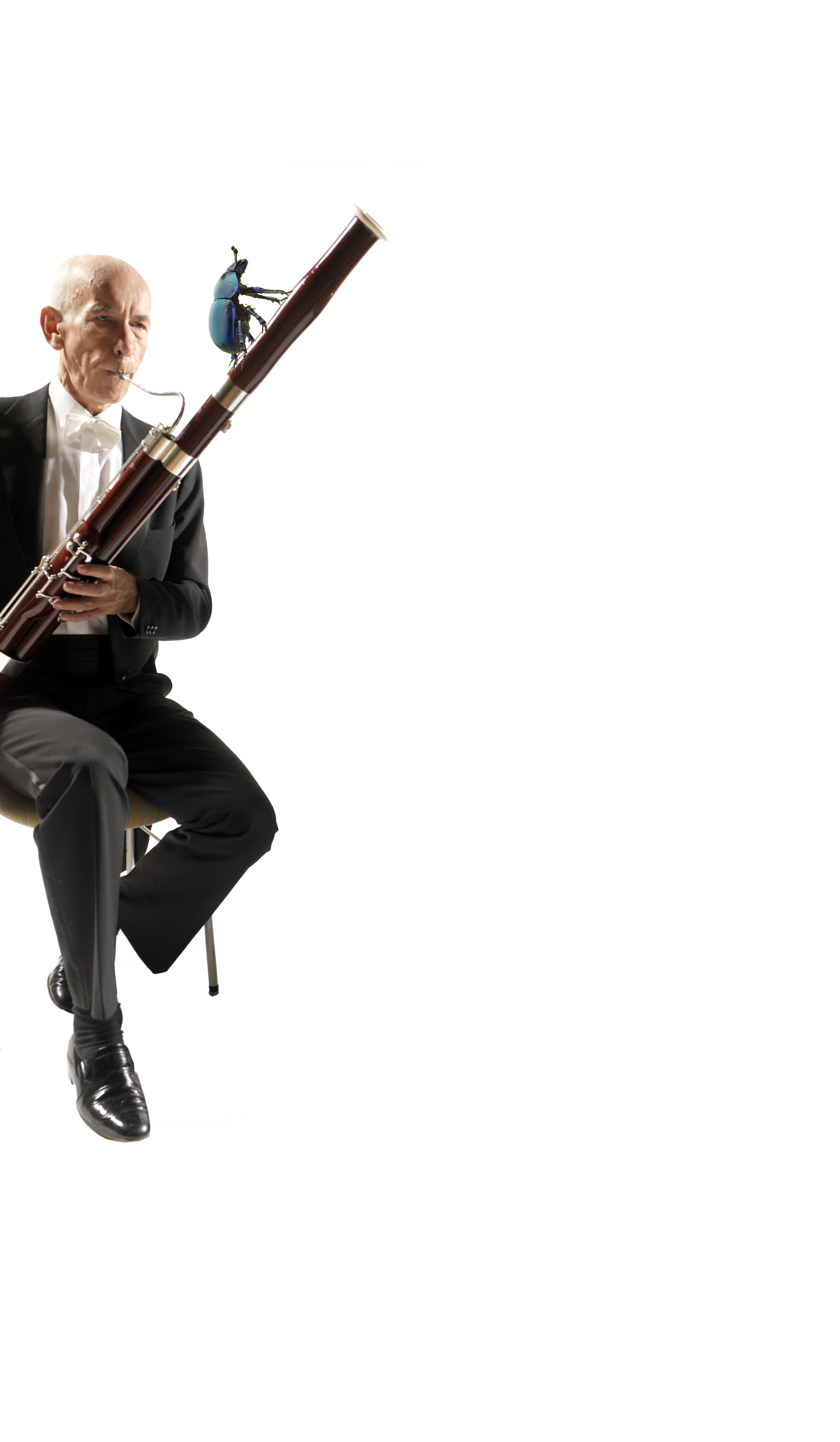 «…das Symphonieorchester als  ver­zau­bern­der Klangkörper, ein Ort pas­sio­nier­ter Konzentration»