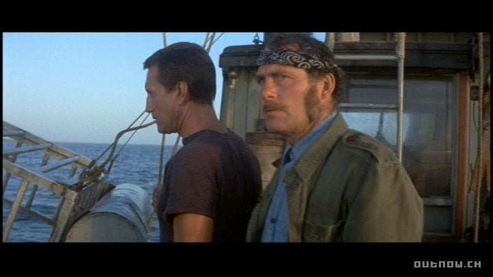 Sprache im schwei­zer Kino