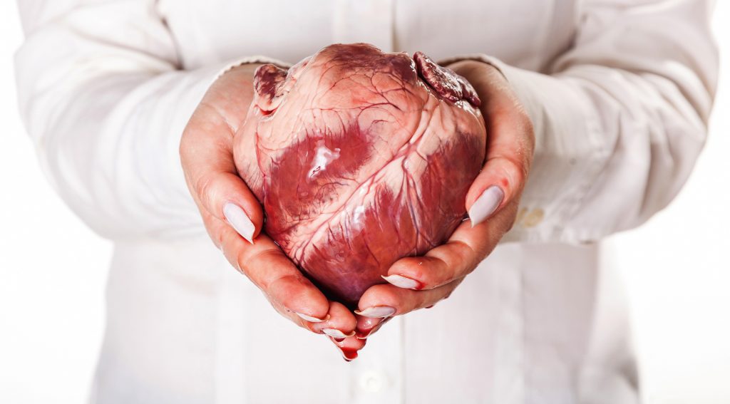 Unkonditionale Grosszügigkeit