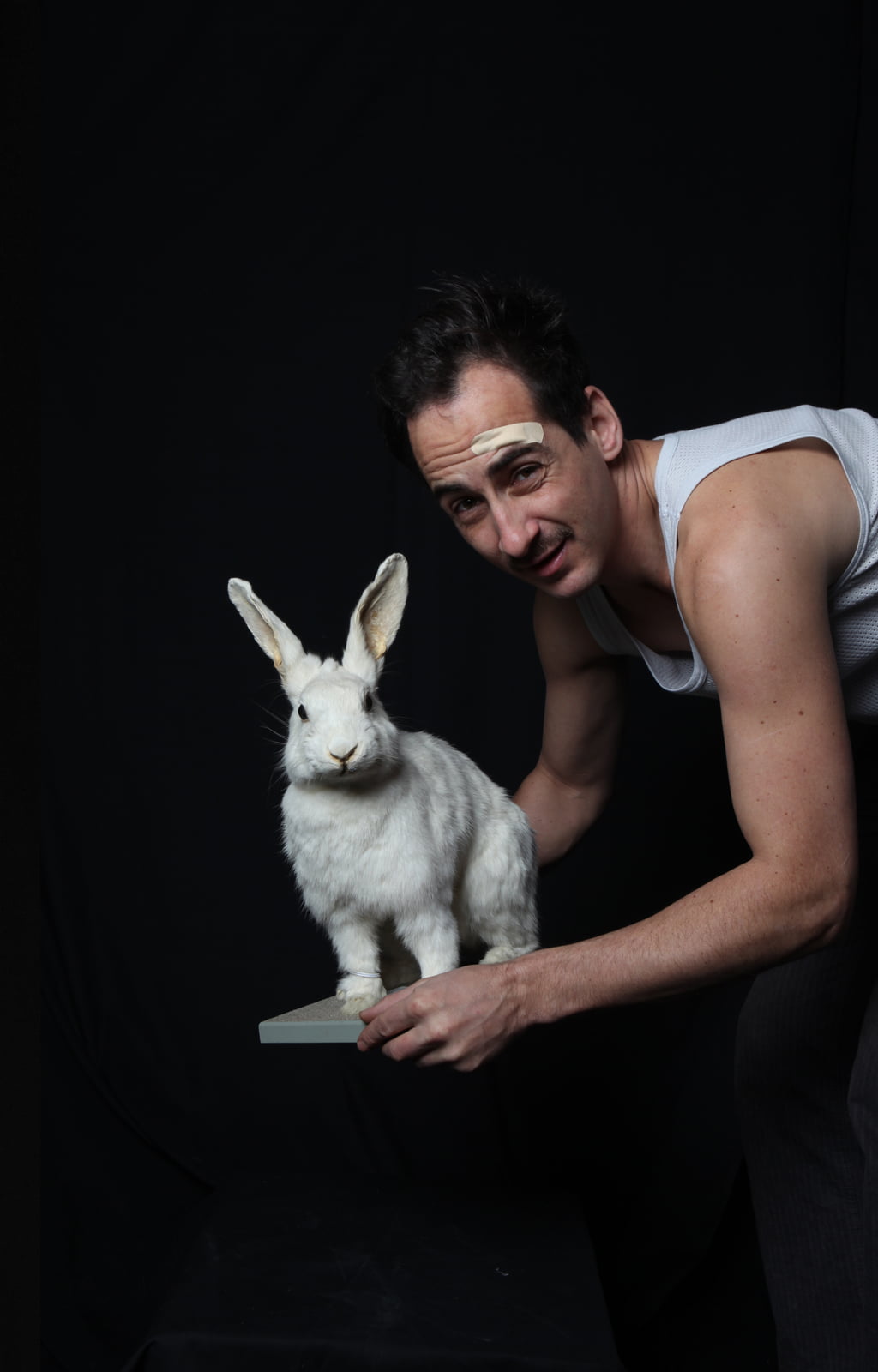 Gerade her­aus und um  hun­dert Ecken: King Pepe