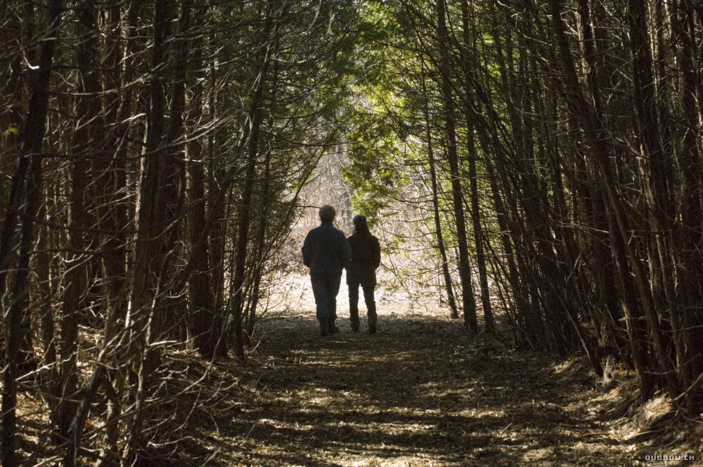 The Canadian Connection