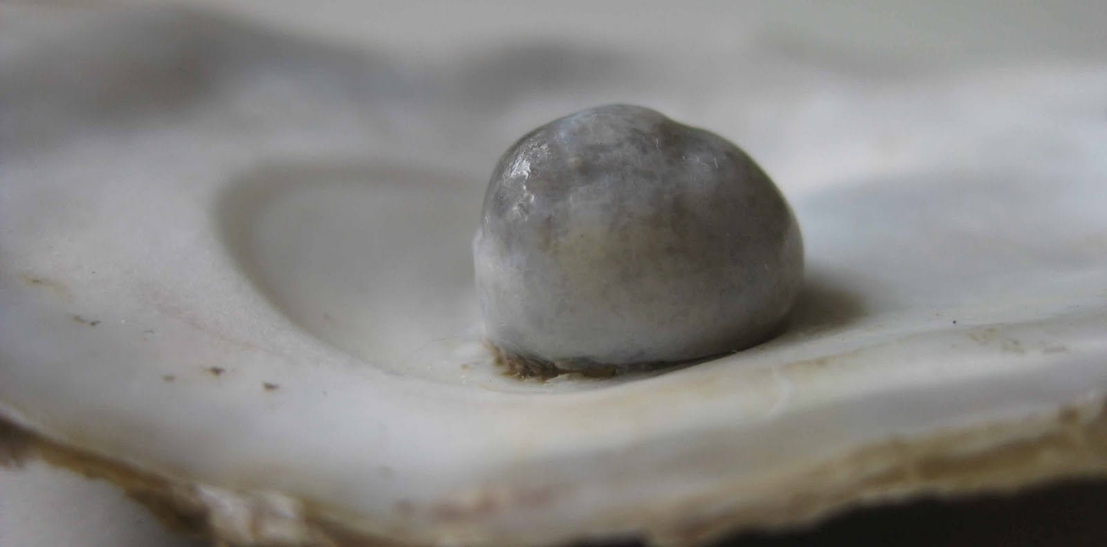 Mit der Kunst lie­ben ler­nen