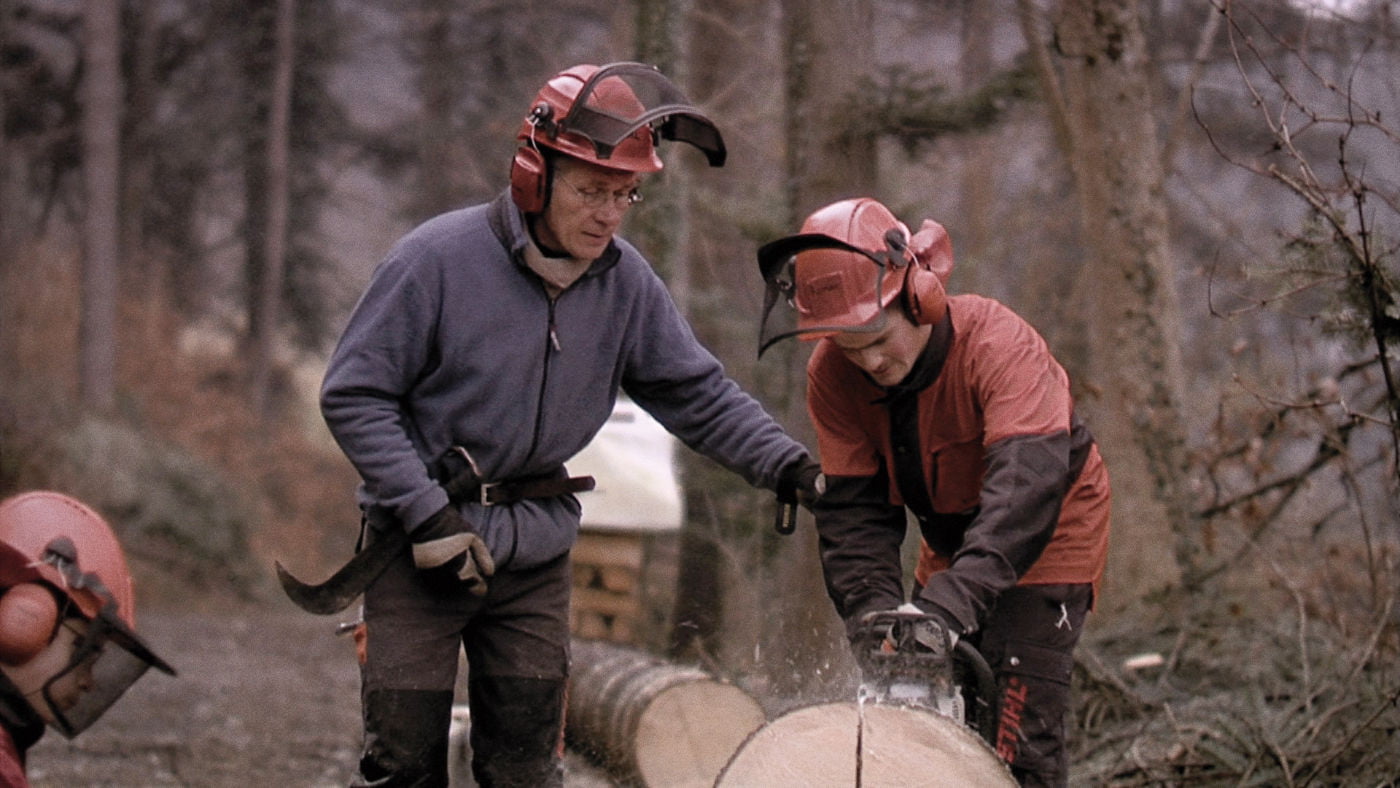 Vielleicht war es Zufall