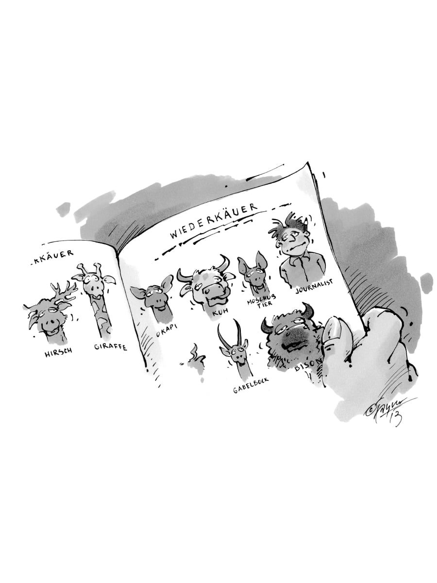 Menschen & Medien: «Fasch e Familie 2»