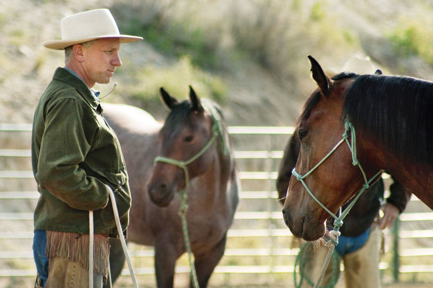 Fremde Menschen: Tiere in «Buck» und «We Bought a Zoo»