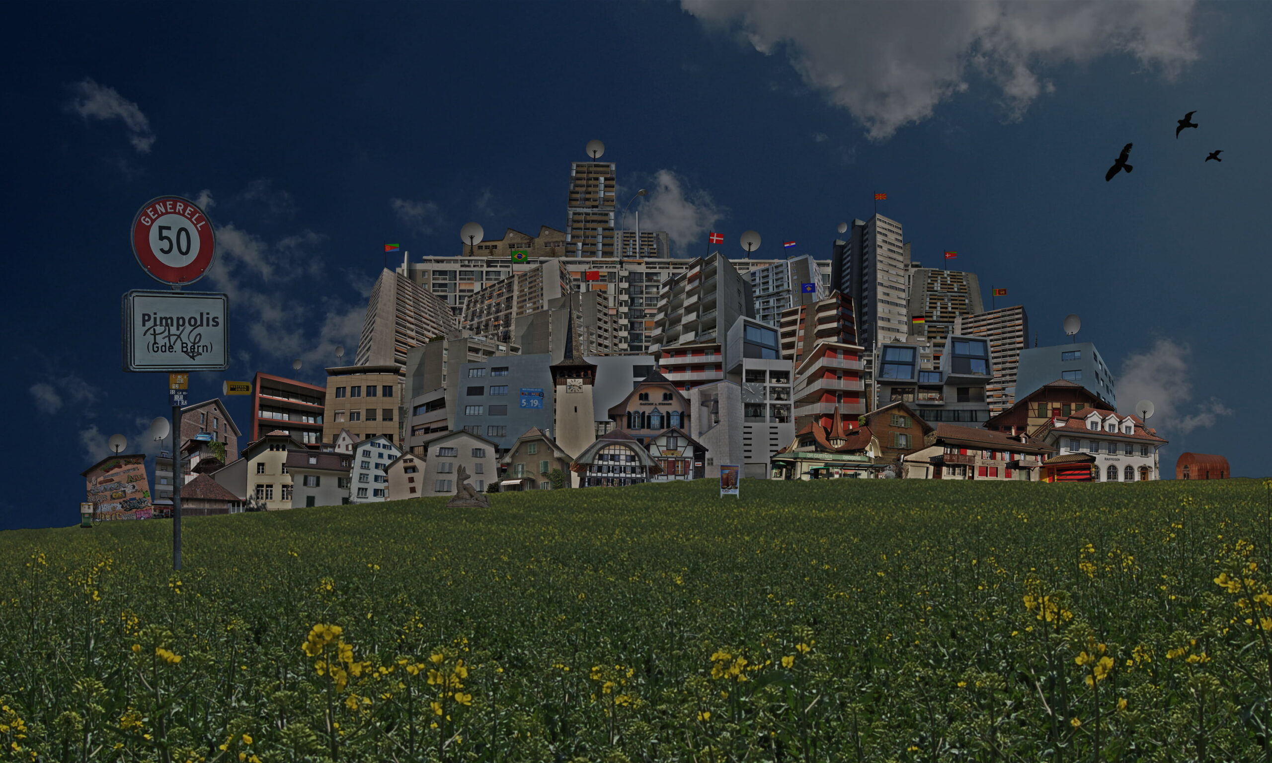 Videokunst.ch  wie­der im PROGR