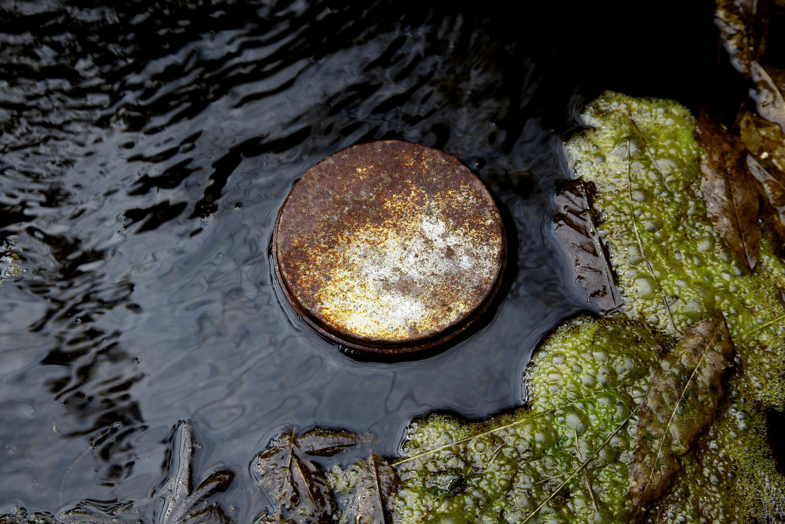 Kultur: Alles was nicht Natur ist?