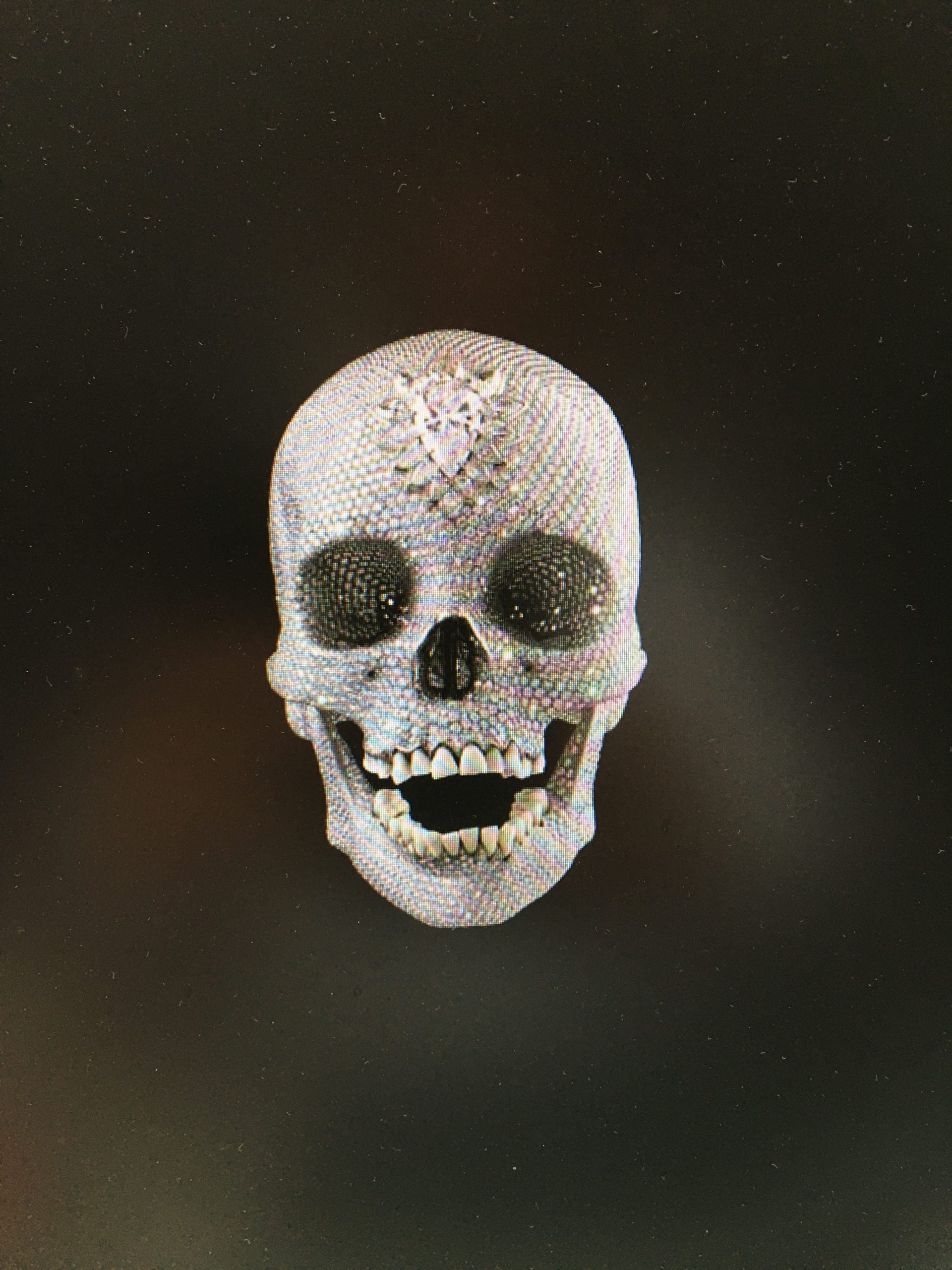 Kann man das scheis­sen oder soll man das kau­fen?