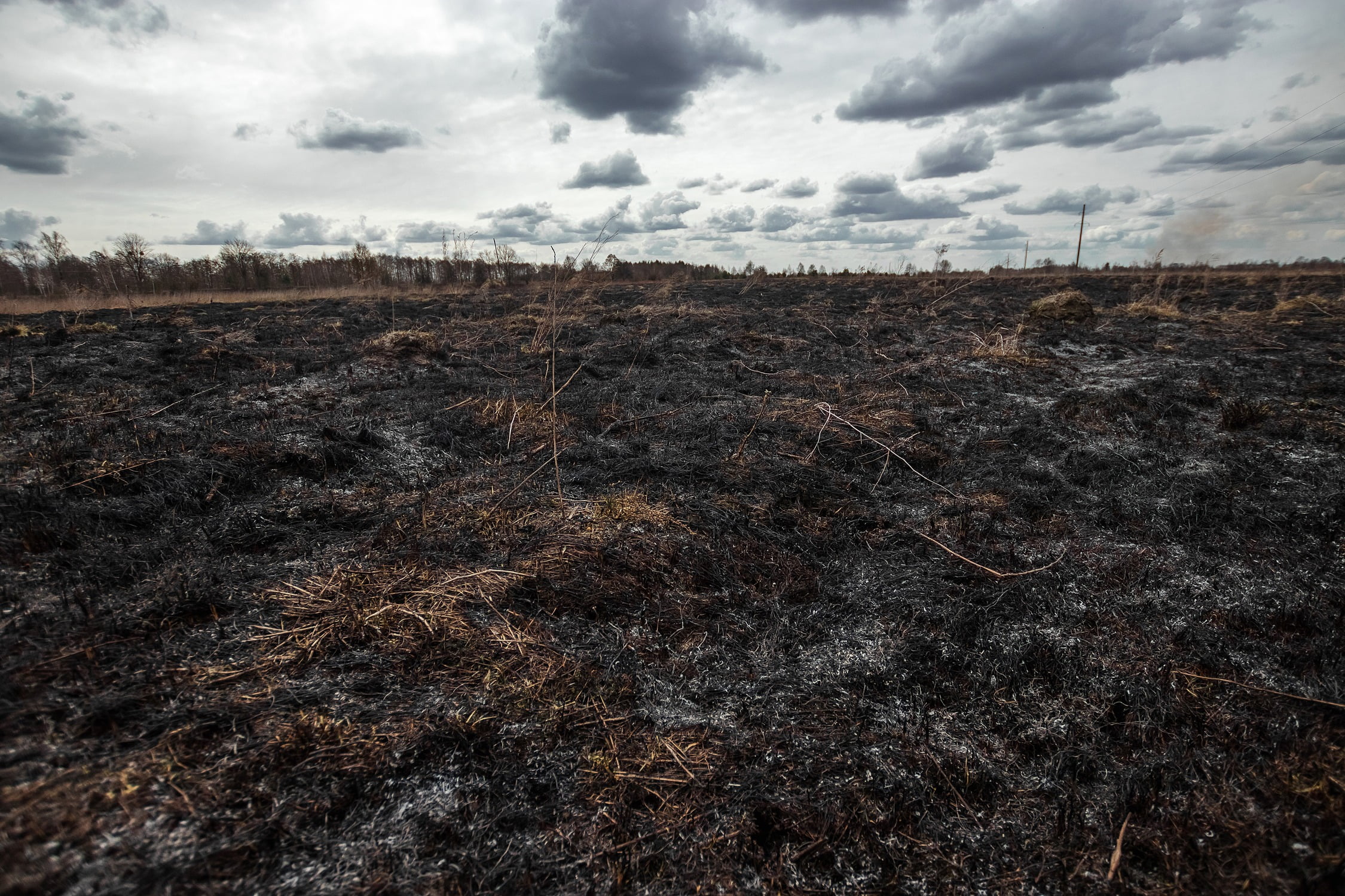 Die ver­brann­te Erde