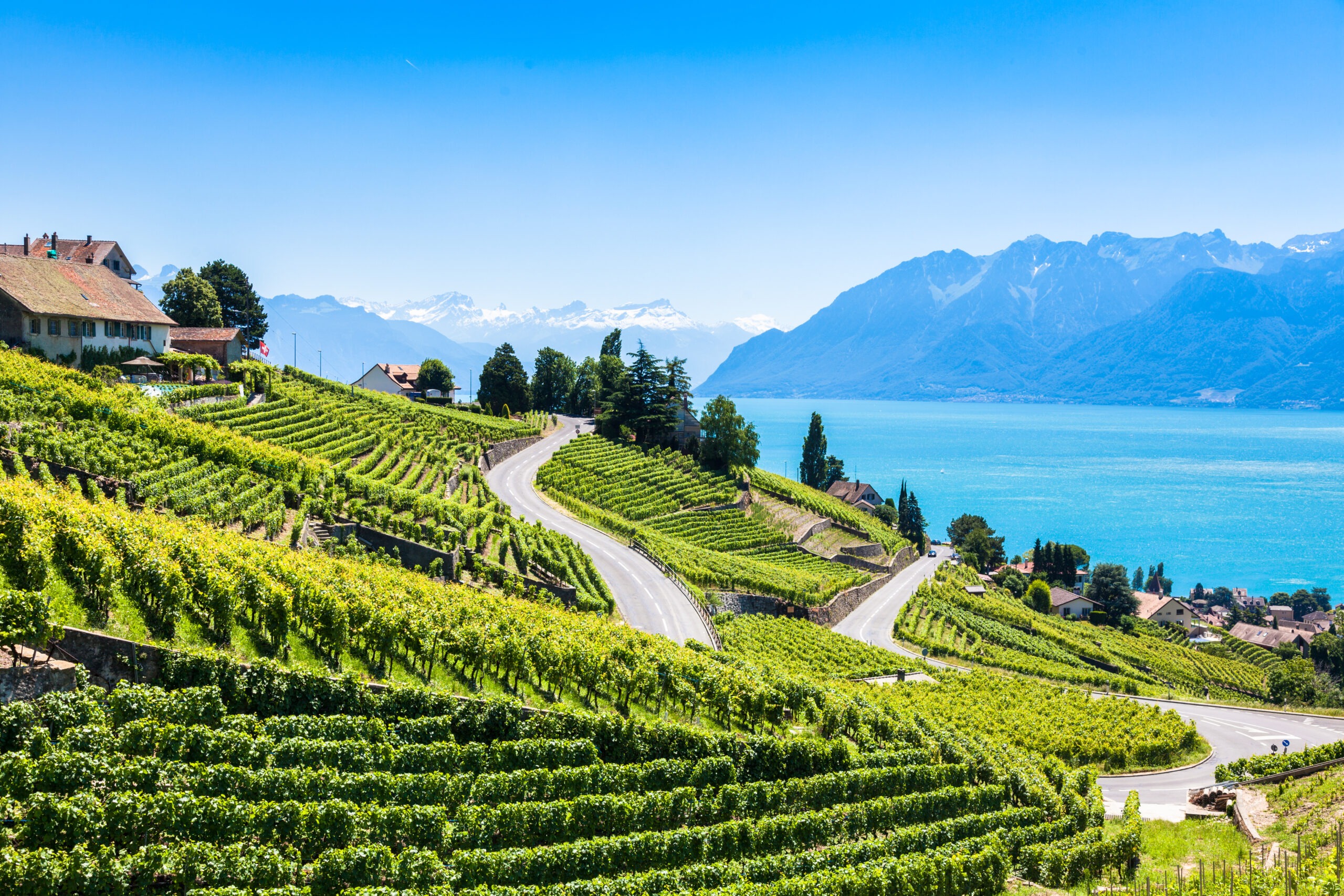 In vino veri­tas – Zwi­schen Reben und Regen: Wie der Kli­ma­wan­del den Geschmack verändert